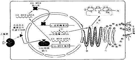 皮蛋不含铅了 挑选要一看二摇-PG电子平台(图4) PG麻将官方入口