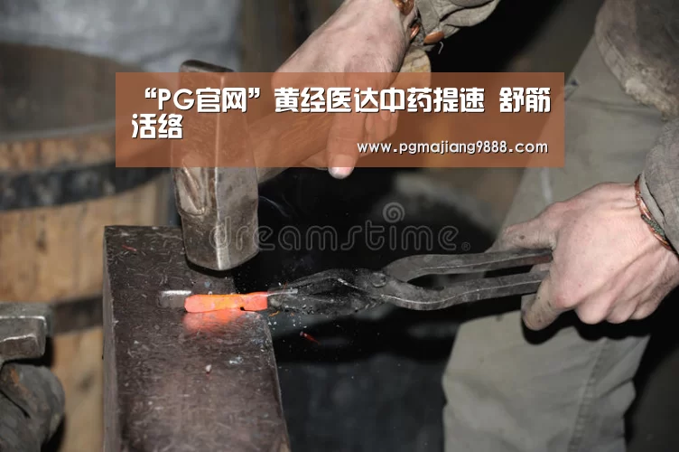PG官网