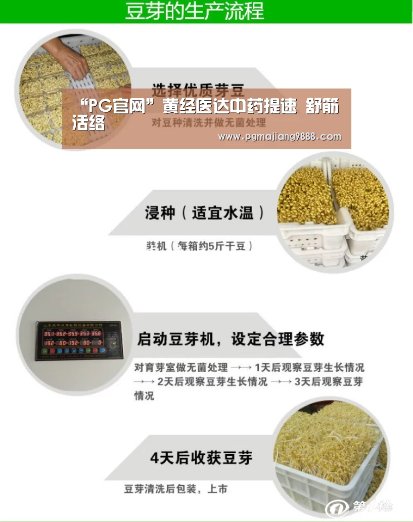 PG官网