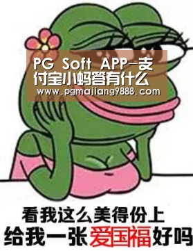 PG官网